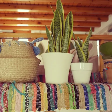 Διαμέρισμα Bright & Relaxing Loft With Attic In The Heart Of Mykonos Mykonos Town